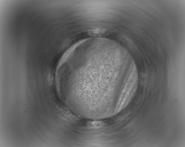 X0000073980324200609051918