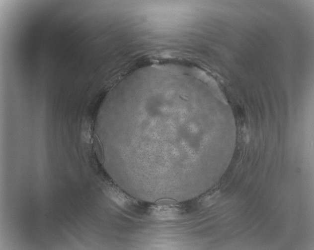 X0000073980331200609051917