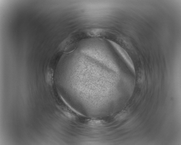 X0000073980332200609051917