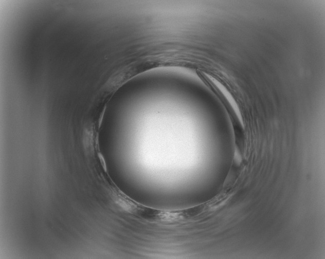 X0000073980333200609051917