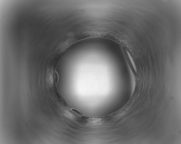 X0000073980334200609051917