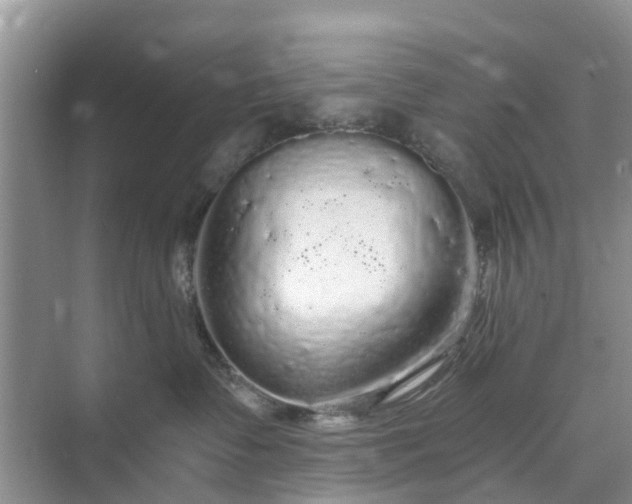 X0000073980335200609051917