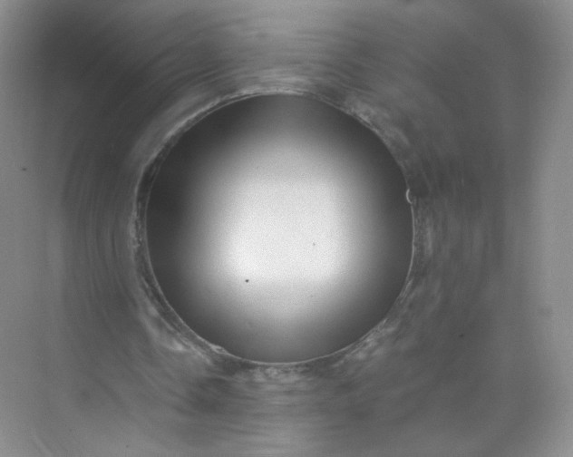 X0000073980338200609051917