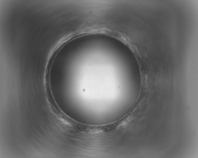 X0000073980340200609051917