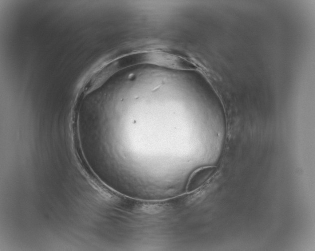 X0000073980341200609051917