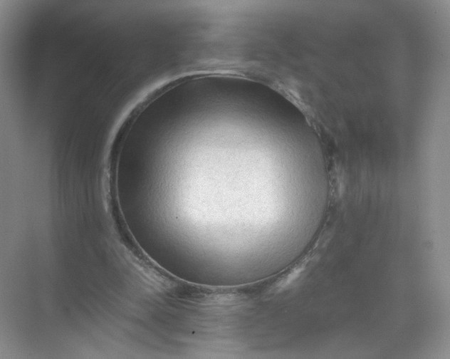 X0000073980342200609051917