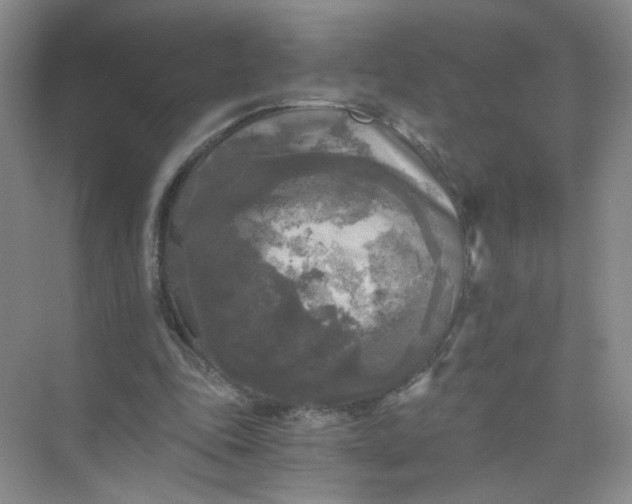 X0000073980343200609051917