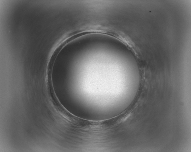 X0000073980344200609051917