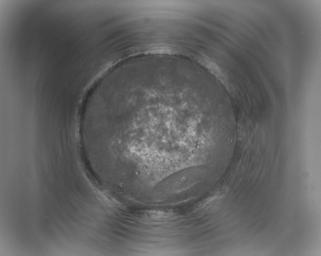 X0000073980347200609051917