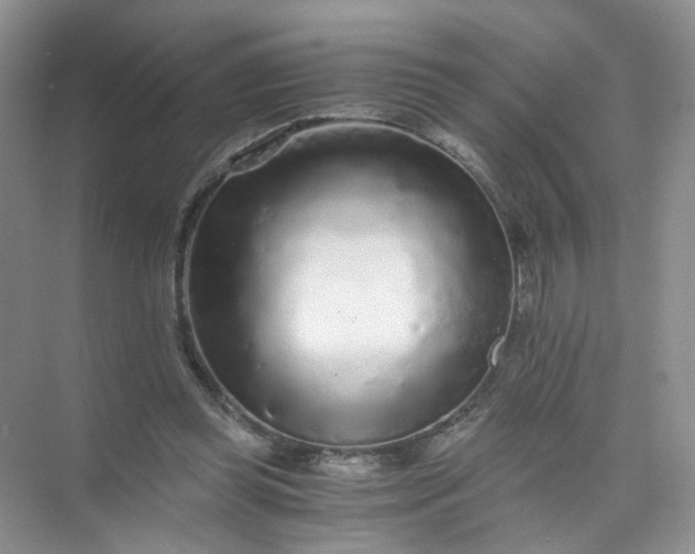 X0000073980349200609051917