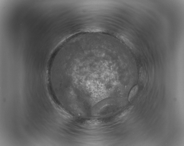 X0000073980351200609051917