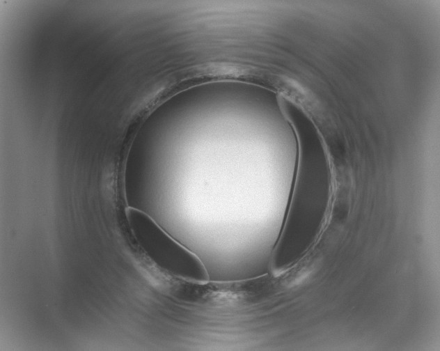 X0000073980352200609051917