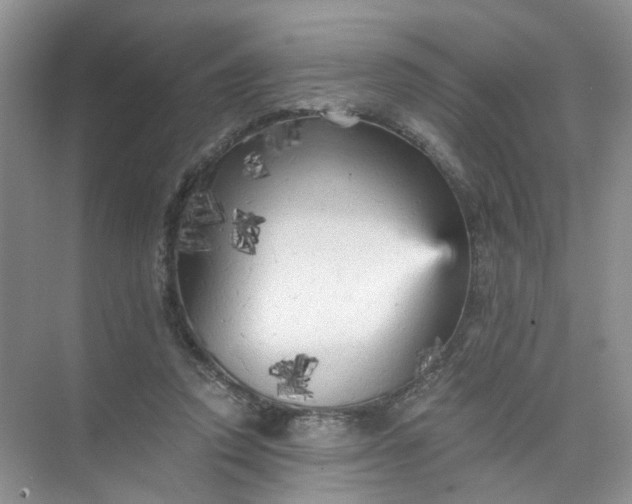 X0000073980354200609051917