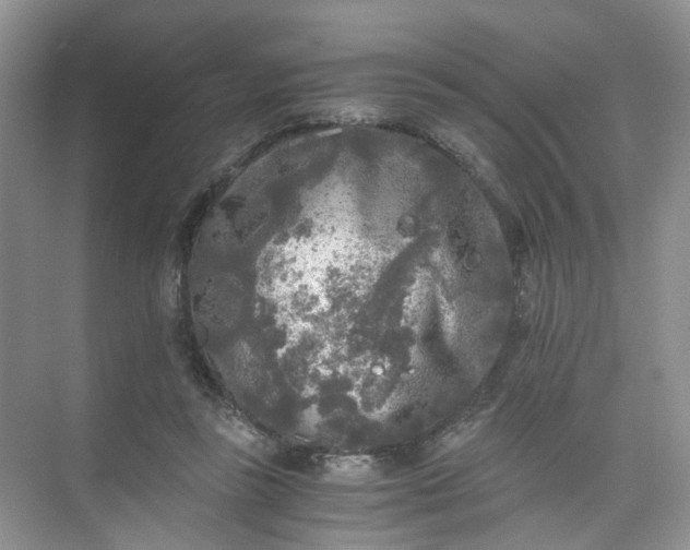 X0000073980355200609051917