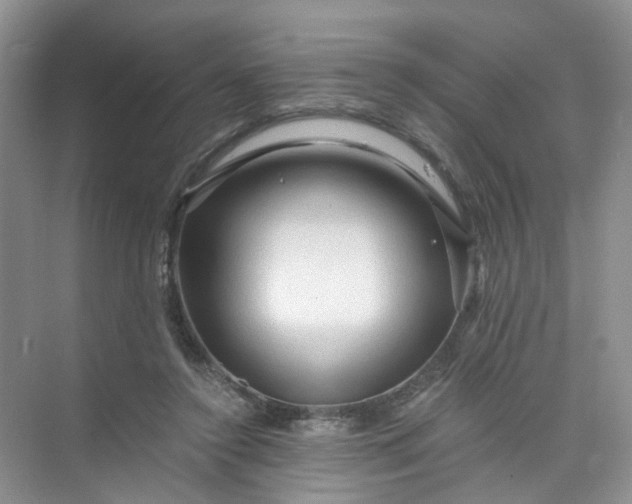 X0000073980356200609051917