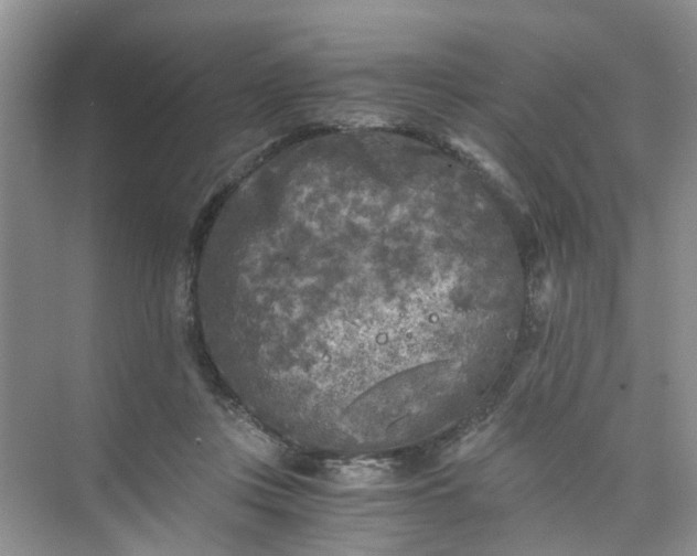 X0000073980359200609051917