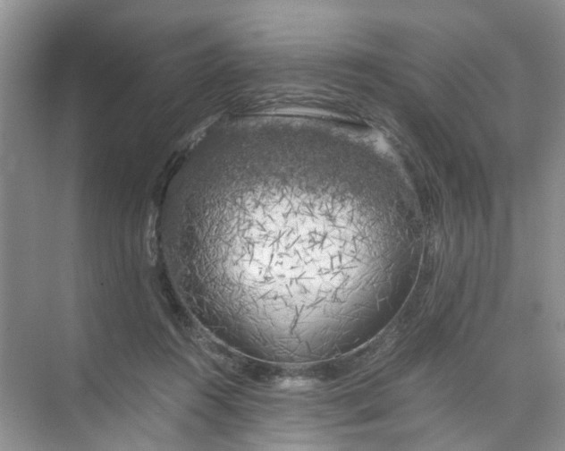 X0000073980360200609051917