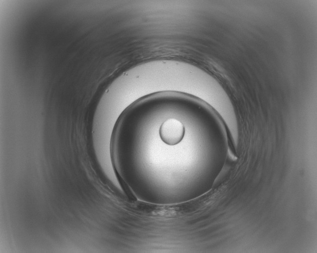 X0000073980362200609051917