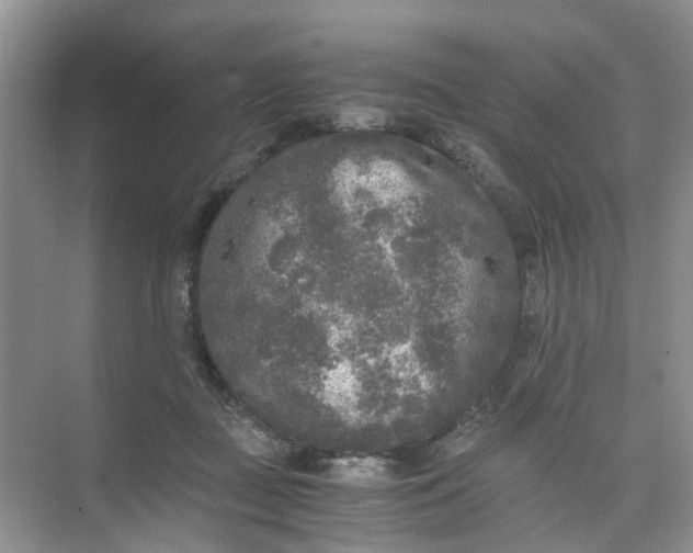 X0000073980363200609051917