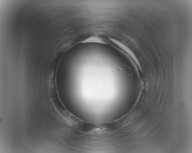 X0000073980364200609051917