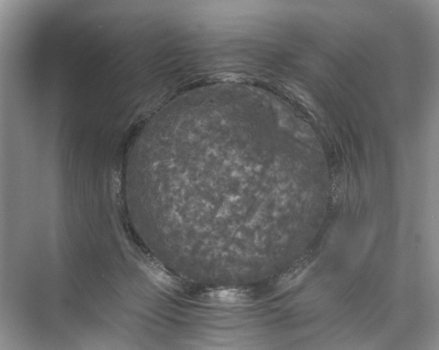 X0000073980365200609051917