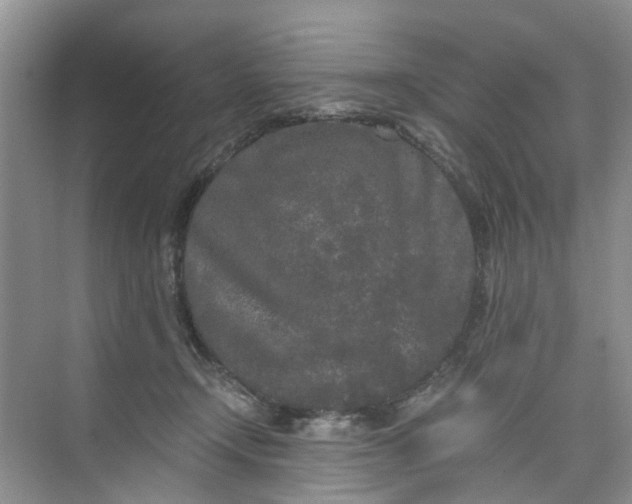 X0000073980366200609051917