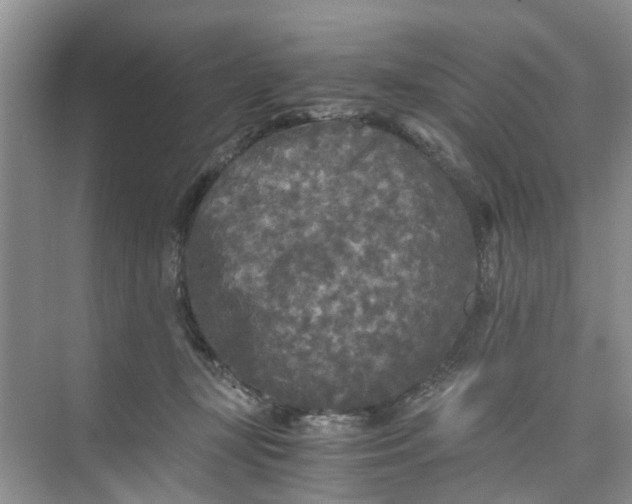 X0000073980367200609051917