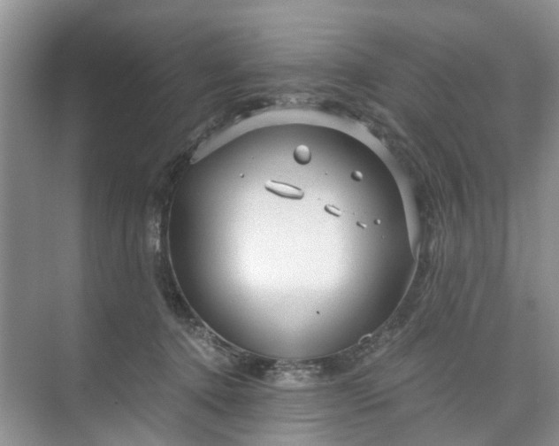 X0000073980368200609051917