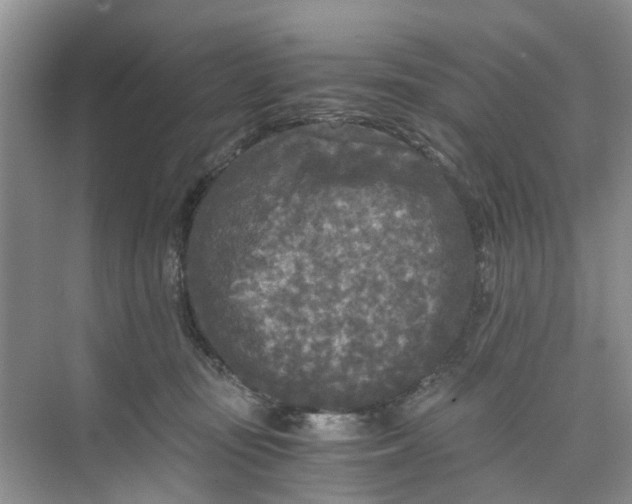 X0000073980371200609051917