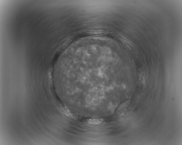 X0000073980373200609051917