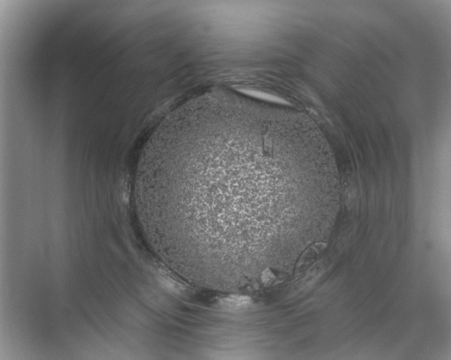 X0000073980374200609051917