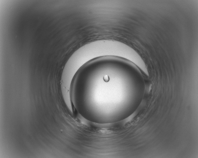 X0000073980376200609051917