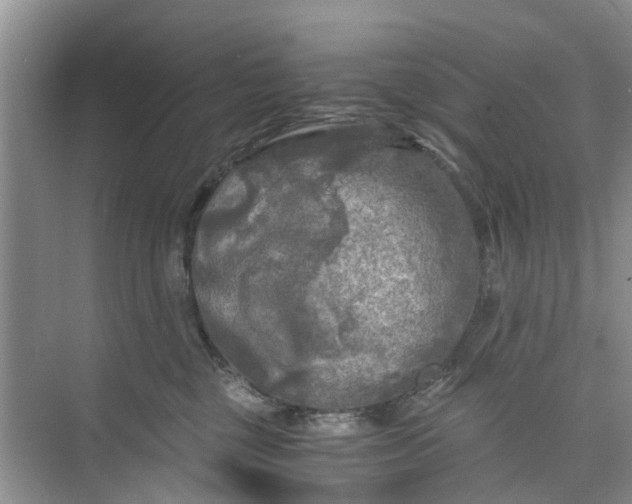 X0000073980377200609051917