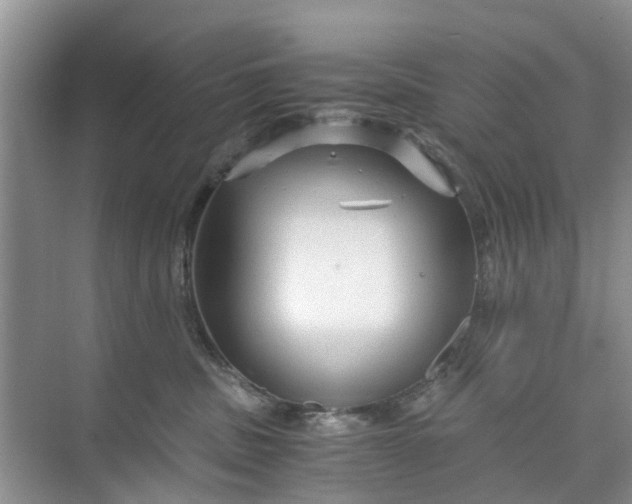 X0000073980379200609051917