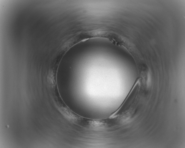 X0000073980380200609051917