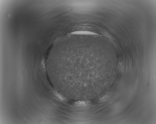 X0000073980381200609051917