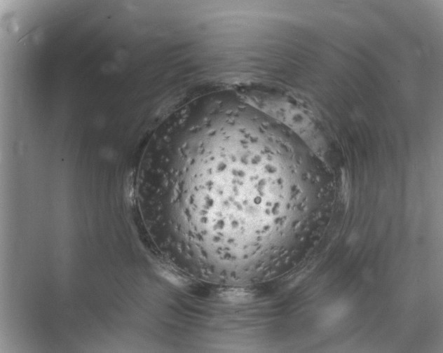 X0000073980383200609051917