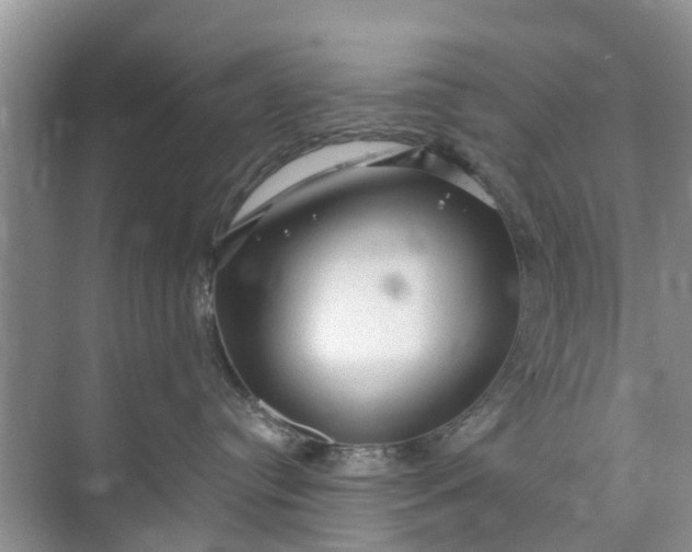 X0000073980384200609051917