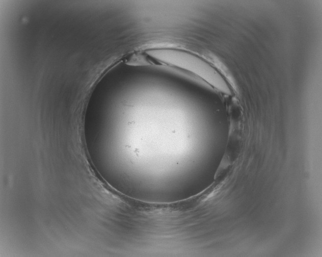 X0000073980385200609051917