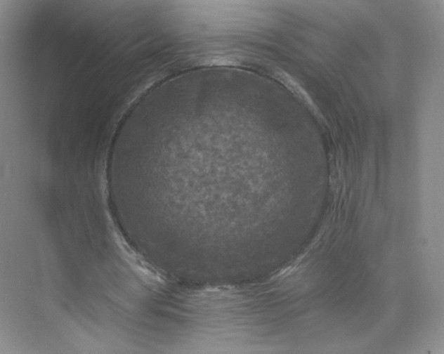 X0000073980386200609051917