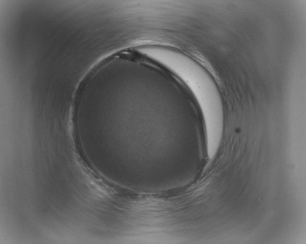 X0000073980387200609051916