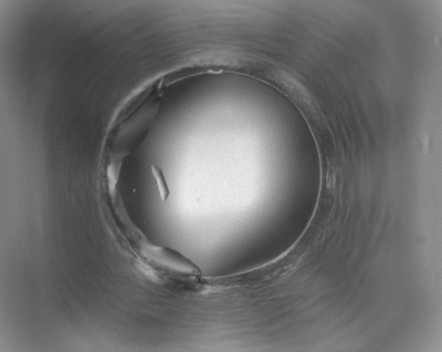 X0000073980388200609051916