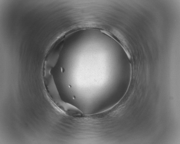 X0000073980389200609051916