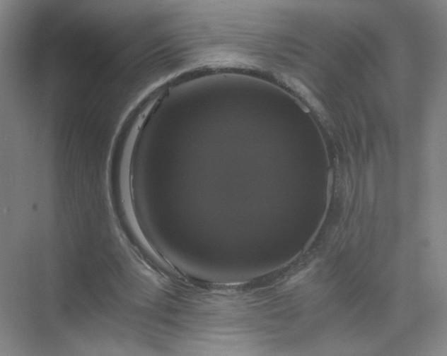 X0000073980391200609051916