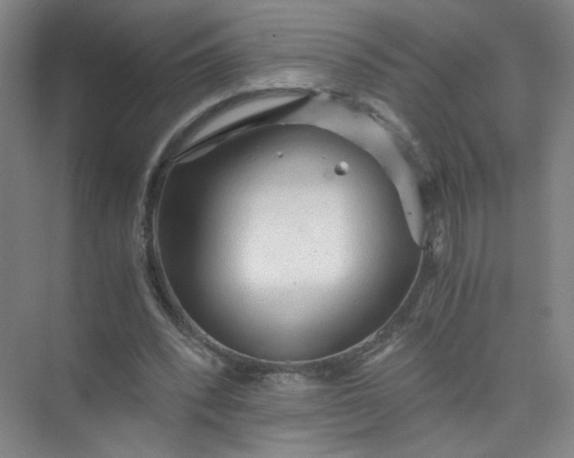 X0000073980392200609051916