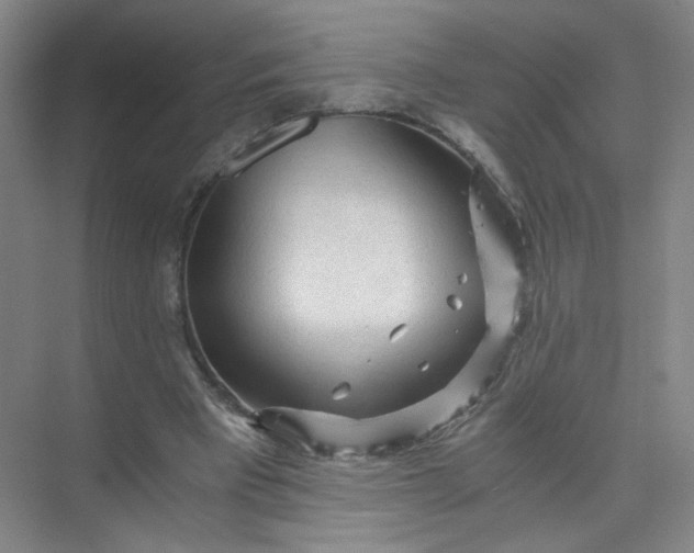 X0000073980393200609051916