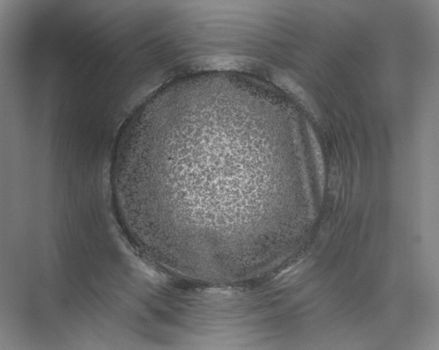 X0000073980394200609051916