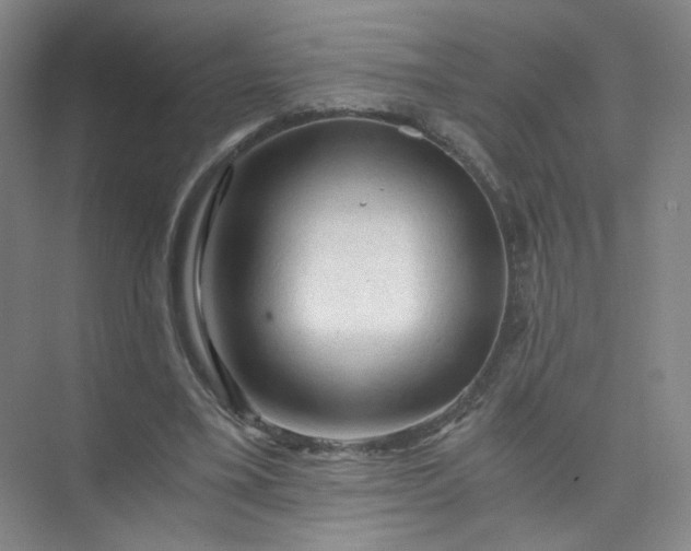 X0000073980395200609051916