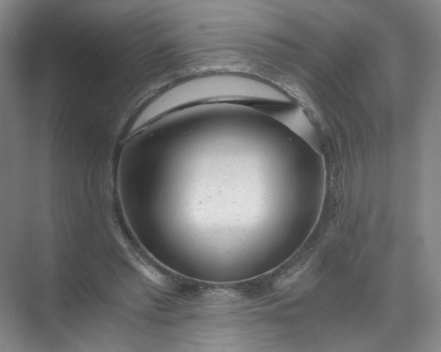 X0000073980397200609051916