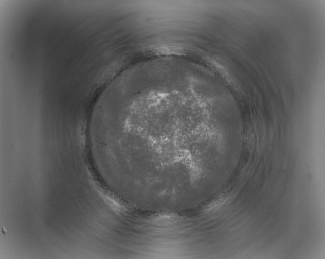 X0000073980402200609051916